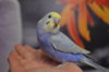 DSC_0812.JPG
