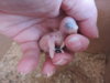 DSCN6315.JPG