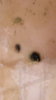 20191027_232838.jpg