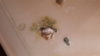 20191028_165559.jpg