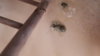 20191028_165611.jpg
