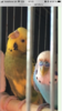 1F568A3A-3238-4273-8E30-FB1B96B46DC7.png