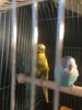 D3601B05-4C25-4794-92C4-813C89D165F1.jpeg