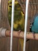 8D564949-C243-4204-B8E8-E2ADFD98F6E0.jpeg
