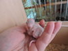 DSCN6483.JPG