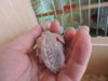 DSCN6487.JPG