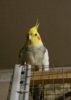 DSC_5386.jpg