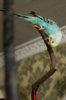 DSC_5326.jpg