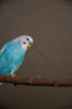 DSC_5331.jpg