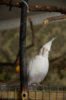 DSC_5318.jpg