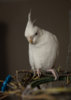 DSC_5367.jpg