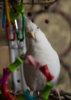 DSC_5339.jpg