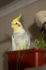 DSC_5329.jpg