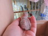 DSCN6518.JPG