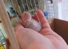 DSCN6519.JPG