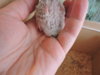 DSCN6522.JPG