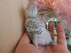 DSCN6544.JPG