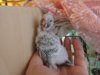 DSCN6547.JPG