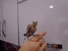 DSC03807.JPG