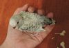 DSCN6632.JPG