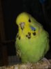 20191113_121527.jpg