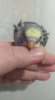 IMG-20191115-WA0006.jpg