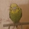 IMG_20191104_203926.jpg
