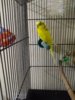 IMG_20180410_223304.jpg