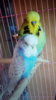 IMG-20191105-WA0023.jpeg