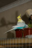 DSC_5321.jpg
