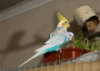 DSC_5322.jpg