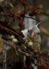 DSC_5399.jpg