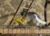 DSC_5348.jpg