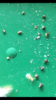 70E10788-C438-4AD1-83BF-F57BBFD3FA3E.png