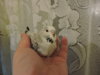 DSCN6678.JPG
