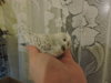 DSCN6679.JPG