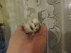 DSCN6680.JPG