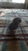 IMG-20191028-WA0003.jpeg