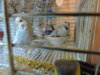DSCN6697.JPG