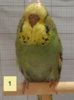 1 18 DSC09106.JPG