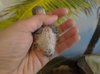 P_20191127_134416_vHDR_Auto.jpg