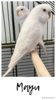 CED41A4F-87DD-416F-A2E9-42D93013AA49.jpeg