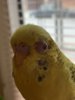 853F4604-F98B-43D6-ADCE-78F10E0F6C93.jpeg