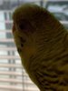 C17EDCB2-597F-441F-A8E7-495815F44CAF.jpeg