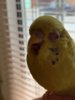 8E370B5A-599C-442B-97DB-03C43DC8FE81.jpeg
