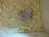 DSCN6717.JPG