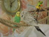 DSCN6727.JPG