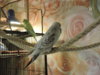 DSCN6741.JPG