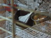 DSCN6749.JPG