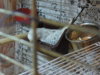 DSCN6750.JPG